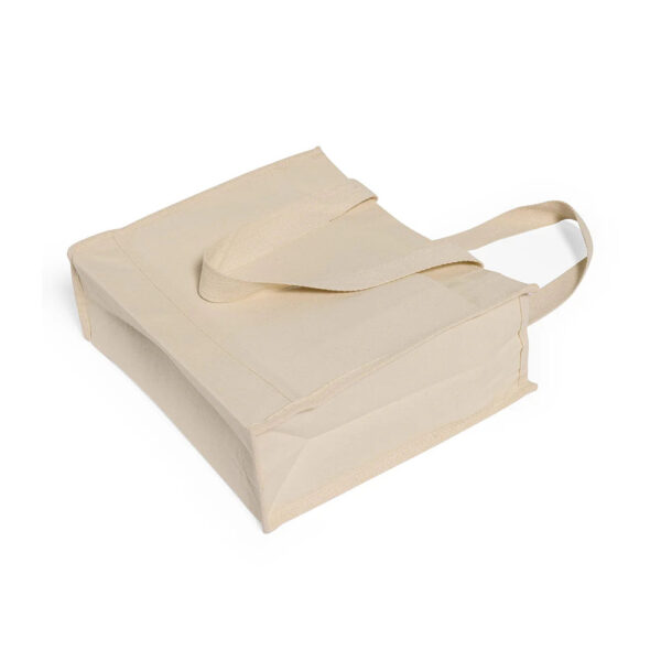 Custom Printed Nonwoven Carry Bags for Wholesale Supply