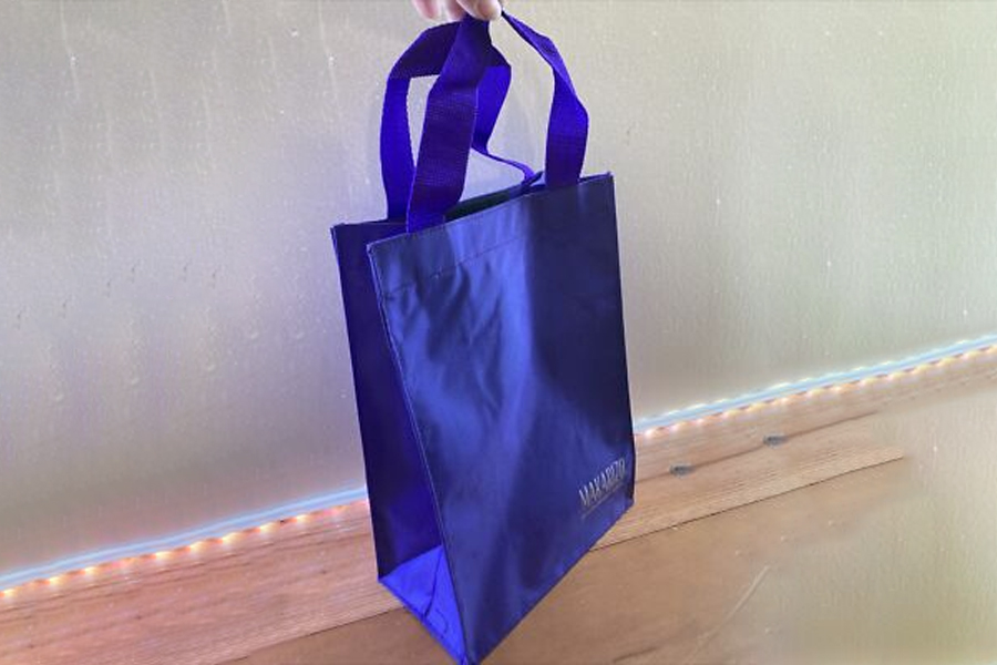 Disposable Non Woven Bags