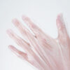 Disposable PE CPE TPE Gloves for Wholesale Distribution