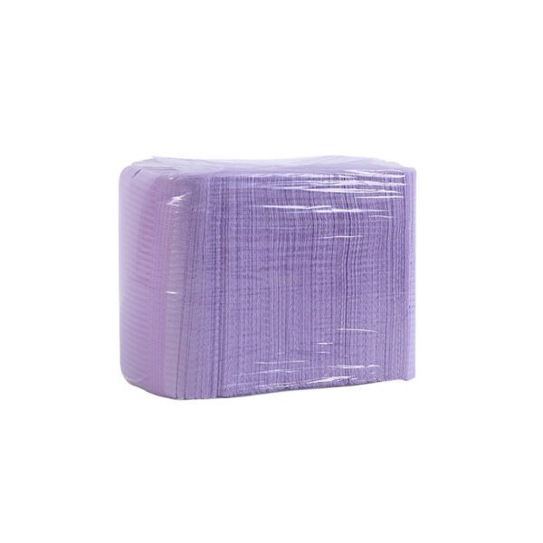 Disposable Paper PE Dental Bibs for Wholesale Procurement