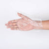 PE CPE TPE Disposable Gloves for Bulk Commercial Supply