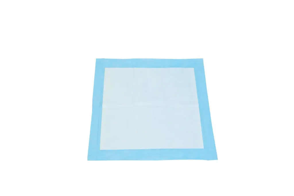 Blue-bordered white absorbent pad lies flat on a plain white background, showing its quilted inner surface.