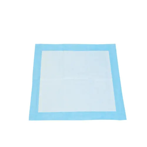 Blue-bordered white absorbent pad lies flat on a plain white background, showing its quilted inner surface.